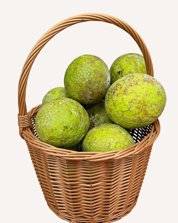 Whole Fresh Breadfruit! - Arinka
